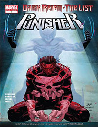 Dark Reign: The List - Punisher