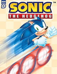 Sonic the Hedgehog's 900th Adventure